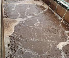 貴陽(yáng)某禽蛋配送中心污水處理工程